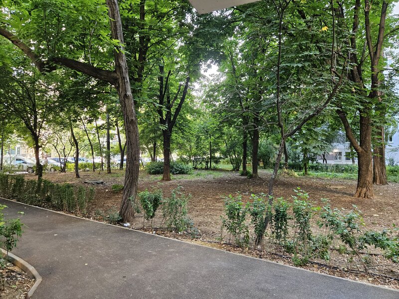 Drumul Taberei, Bdul 1 Mai,